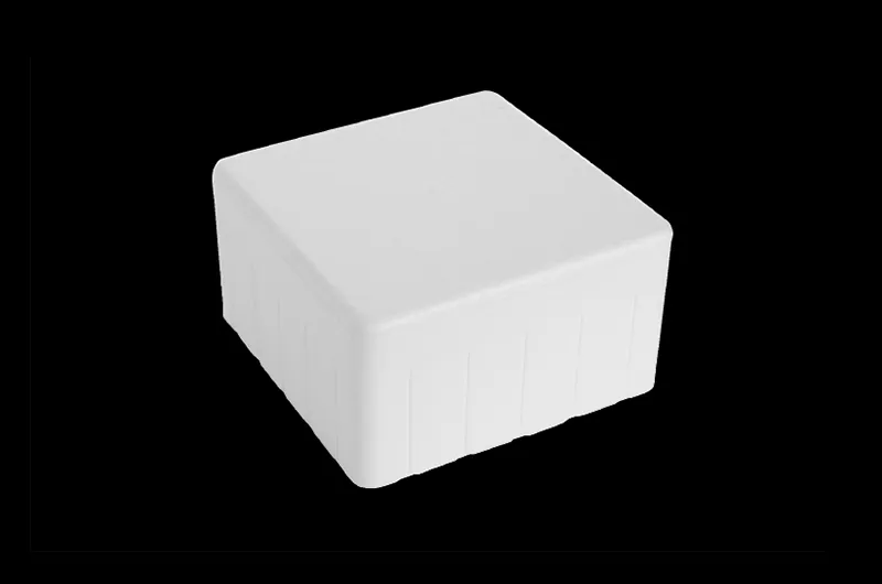 EPS cake boxes for professional frozen dessert presentation.
